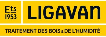 Ligavan – réseaux sociaux et web